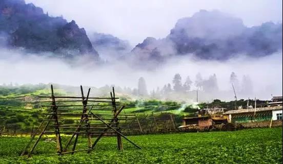 去甘南旅游，99%的人看了这份攻略！