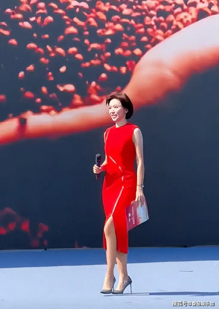 央视欧阳夏丹乘机突发故障紧急撤离，评论区沦陷