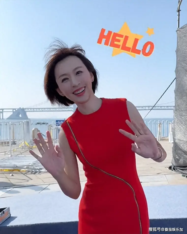 央视欧阳夏丹乘机突发故障紧急撤离，评论区沦陷
