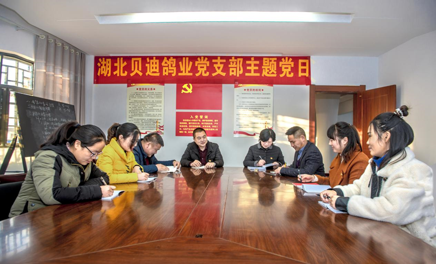 枣阳市兴隆镇杨楼社区：集体经济风帆劲 乡村振兴正当时