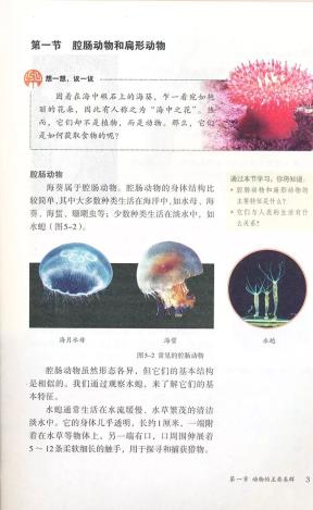 补齐文科短板，这次期末，初二儿子终于考进年级前100名