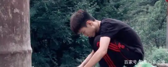 当时，《变形计》中的“小正太”杨桐变成了学霸