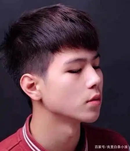当时，《变形计》中的“小正太”杨桐变成了学霸