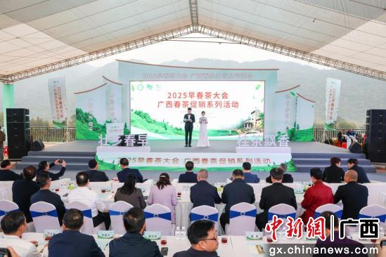 广西春茶促销系列活动在昭平县举办