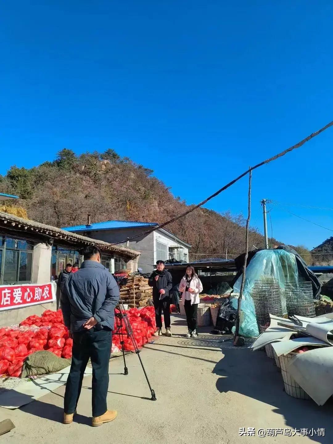 葫芦岛大事小情+广电直播助农卖苹果 一天卖掉万斤 果农致谢好心人