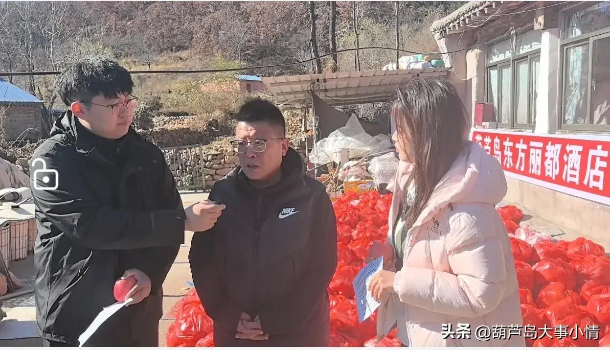 葫芦岛大事小情+广电直播助农卖苹果 一天卖掉万斤 果农致谢好心人