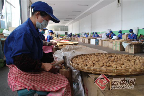 「云发布」云南大姚：“三个一”推进精准扶贫