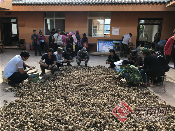 「云发布」云南大姚：“三个一”推进精准扶贫
