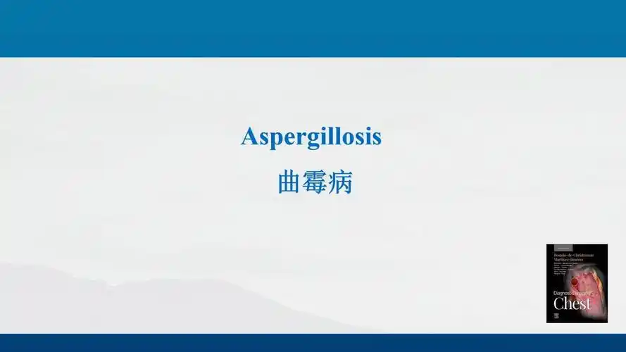 全球局势动荡与国内发展并行：一周时政热点聚焦