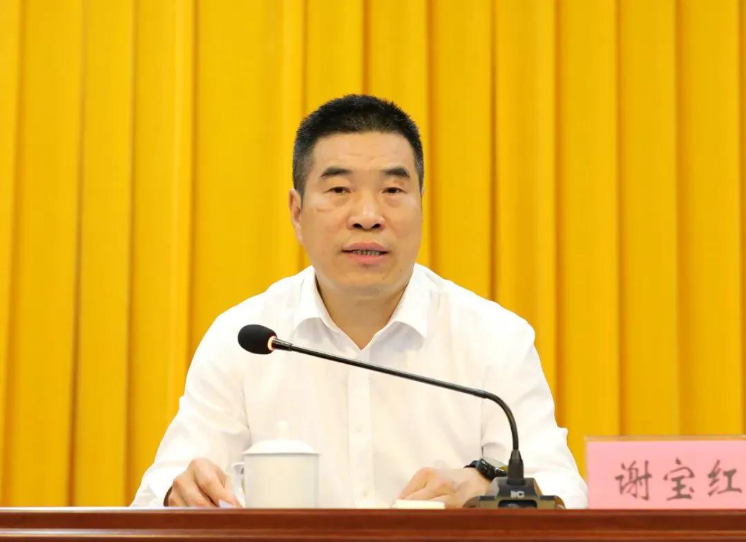 李电：全面推进法院工作现代化 为现代化新忠县建设提供有力司法保障