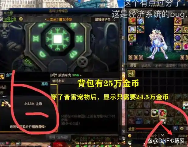 DNF：普雷宠物出bug没用了？旭旭宝宝成冤种，策划又开始糊弄玩家