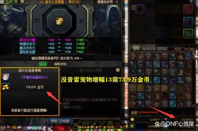 DNF：普雷宠物出bug没用了？旭旭宝宝成冤种，策划又开始糊弄玩家