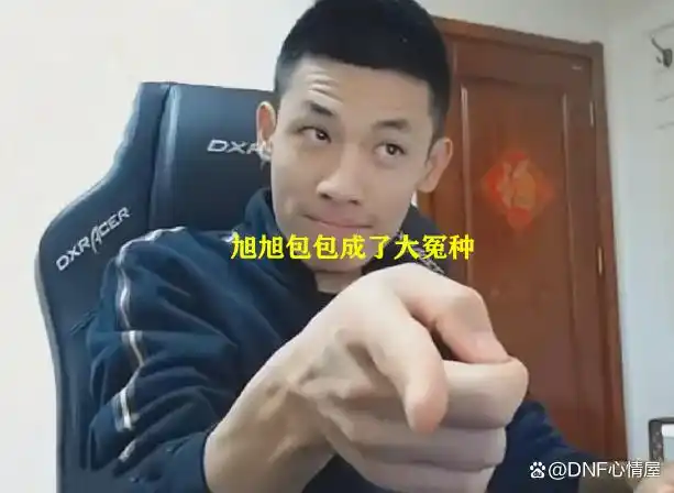 DNF：普雷宠物出bug没用了？旭旭宝宝成冤种，策划又开始糊弄玩家