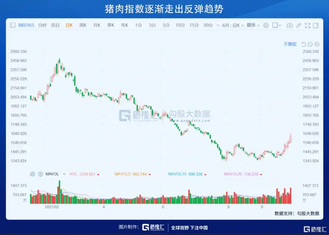 暴跌开局！煤电股还能接着炒吗？