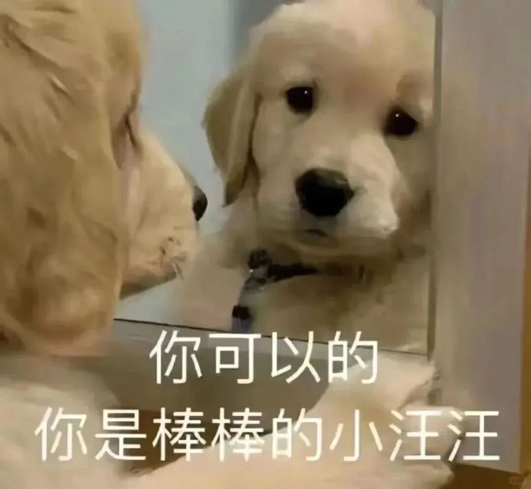冲刺期必看答题模板直接抄！消息、策划、评论、采访题