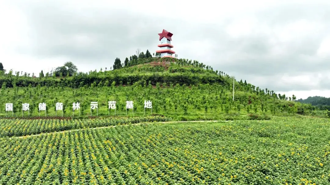 铿锵的步履，精彩的答卷——遂宁建市四十周年之蓬溪县发展纪实