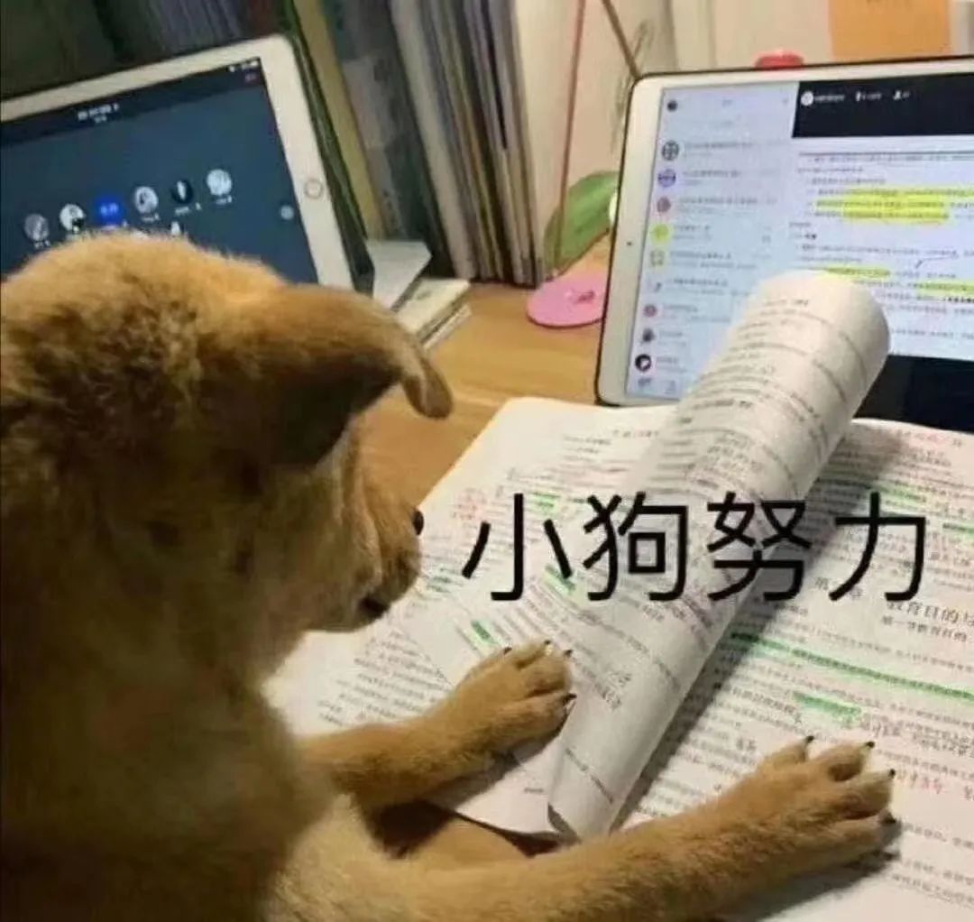 一模还剩12天，初中英语最重要语法点！从选择题到作文，冲刺必看——