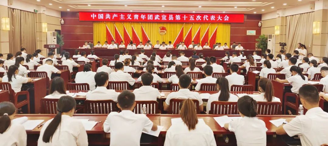 中国共产主义青年团武宣县第十五次代表大会召开