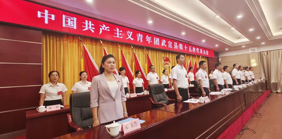 中国共产主义青年团武宣县第十五次代表大会召开