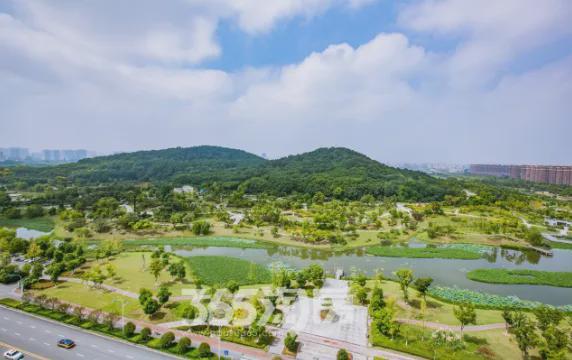 92亩！有王炸！芜湖楼市“压箱底”地块“在路上”，会掀起多大风浪？