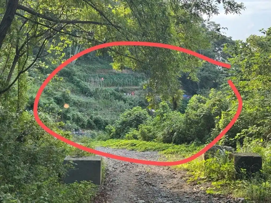 氢氟酸所有者已锁定，当地：发现三桶，一桶完整，两桶残余