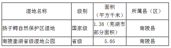 新一轮城市规划！未来芜湖将发生巨变！
