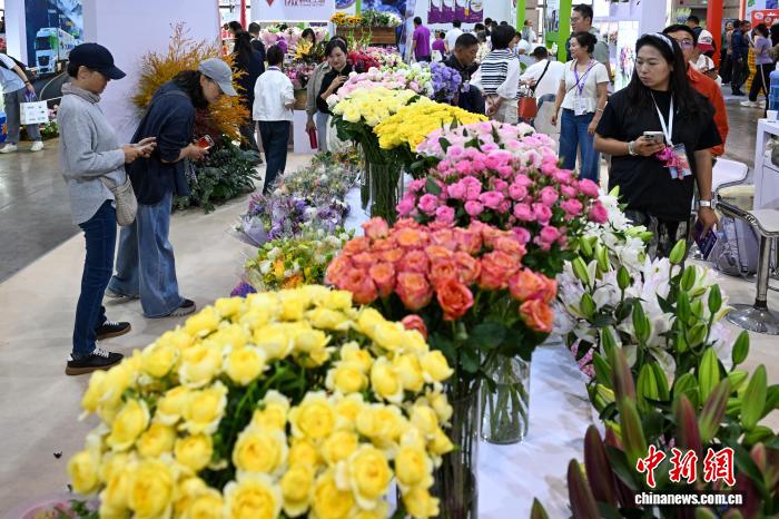 “中国芯”为云南花卉产业锦上添花