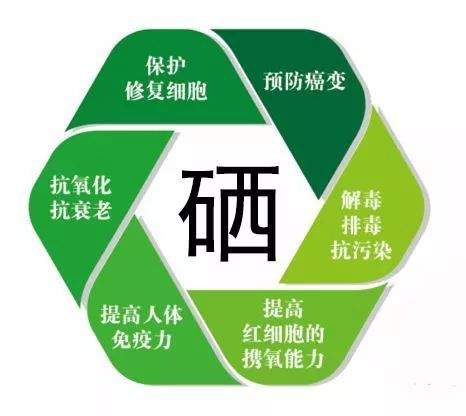 硒，究竟是何方神圣？