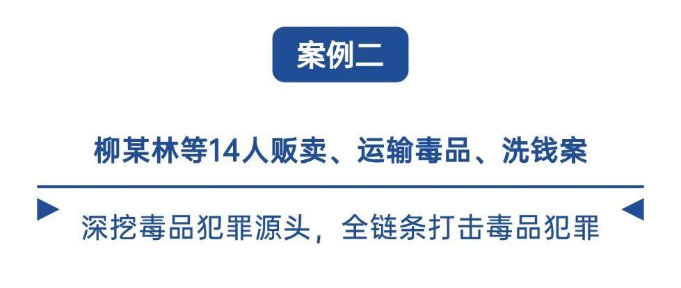 吸食毒品后致幻，男子杀害三人已被执行死刑！湖北高院发布打击毒品犯罪五大典型案例