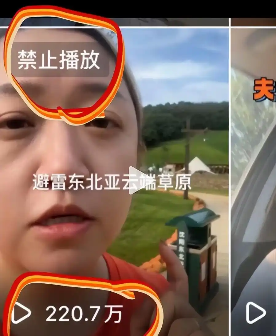 沈阳文旅事件：女士畅玩被驱，老总致电道歉