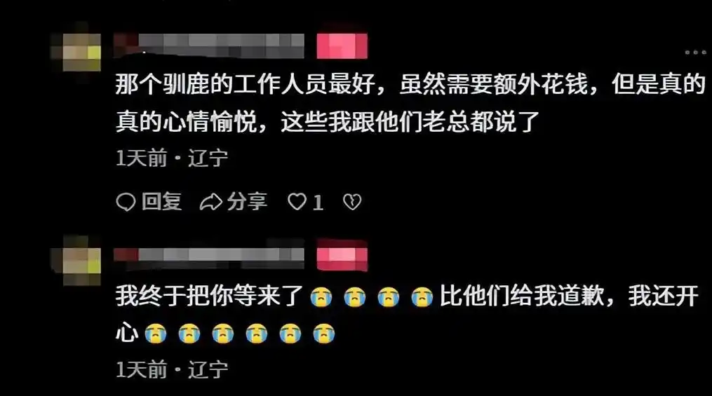 沈阳文旅事件：女士畅玩被驱，老总致电道歉