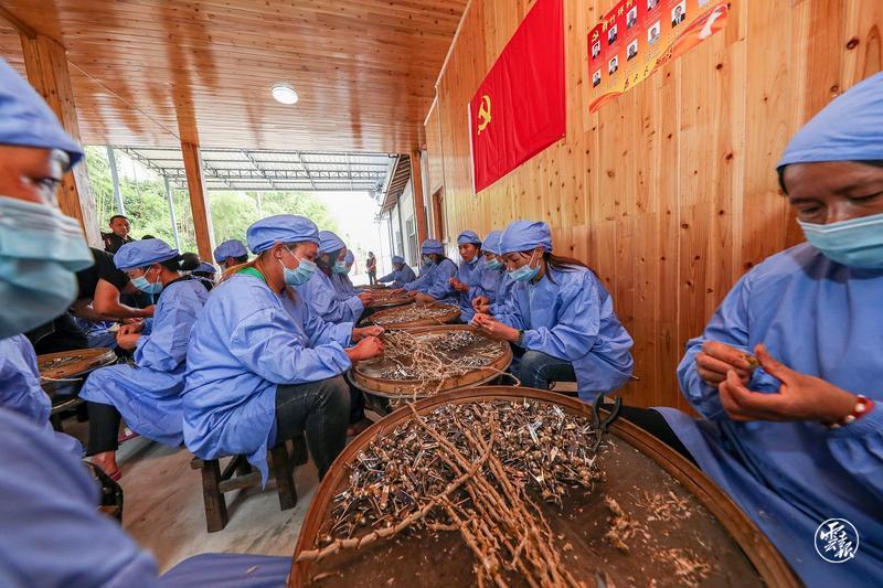 保山：浓墨重彩书写脱贫攻坚亮丽答卷