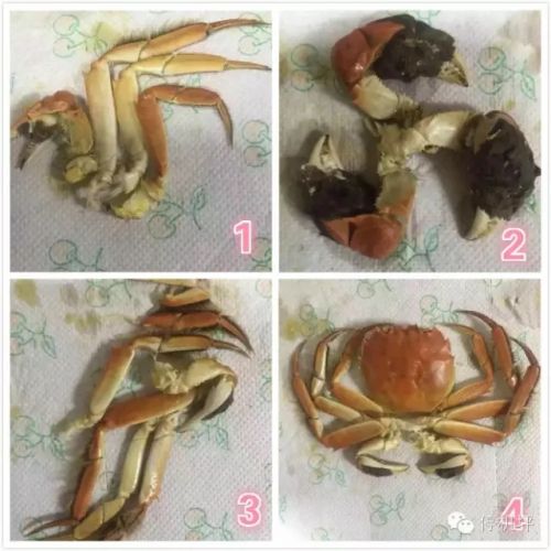 买机票前先看懂这个 甭管你用携程还是去哪儿