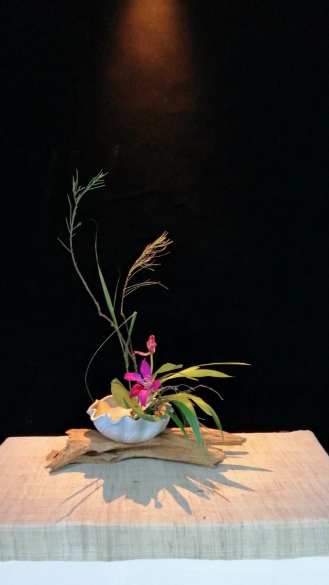 被遗忘的花之道