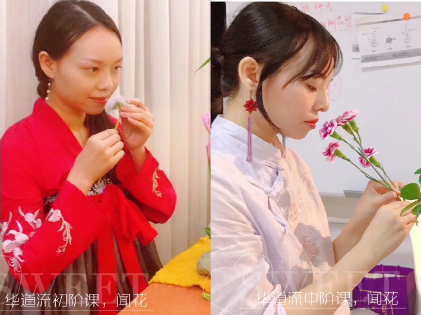 被遗忘的花之道