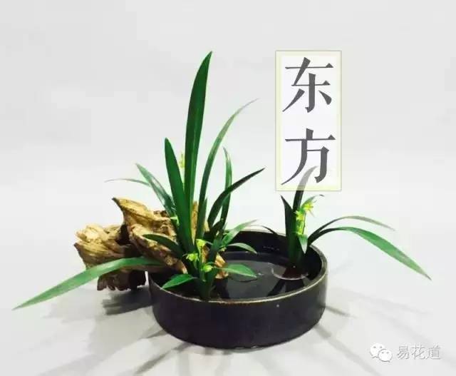 万宏 世界插花花艺的风格与系统(下)｜花课堂