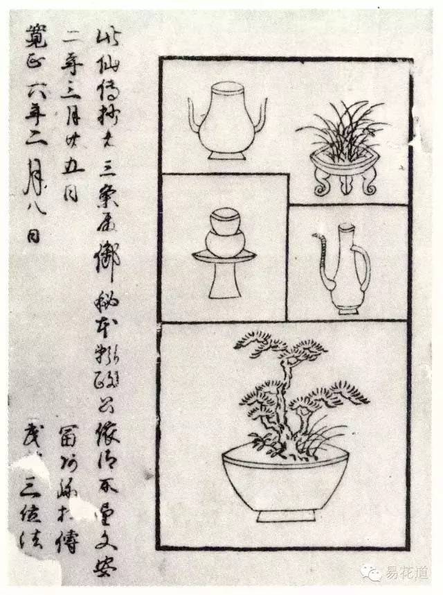 万宏 世界插花花艺的风格与系统(下)｜花课堂