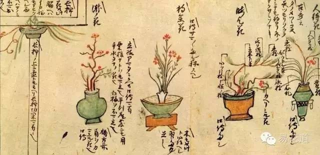 万宏 世界插花花艺的风格与系统(下)｜花课堂