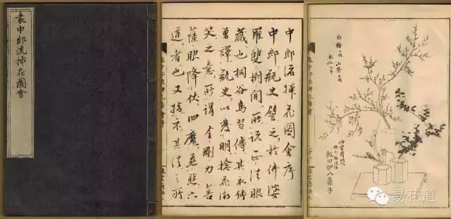 万宏 世界插花花艺的风格与系统(下)｜花课堂