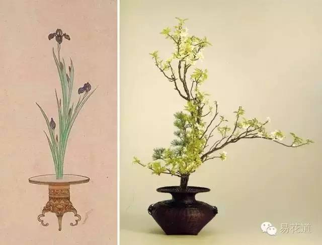 万宏 世界插花花艺的风格与系统(下)｜花课堂