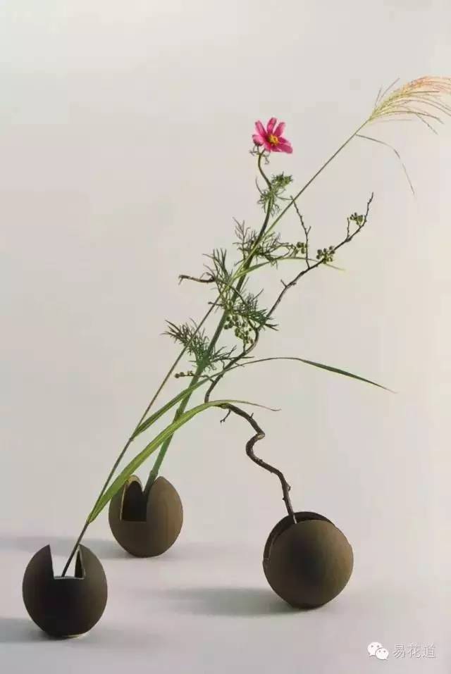 万宏 世界插花花艺的风格与系统(下)｜花课堂