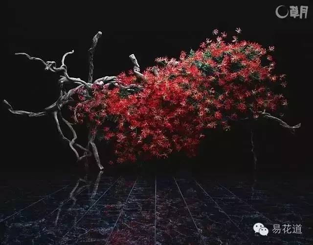 万宏 世界插花花艺的风格与系统(下)｜花课堂