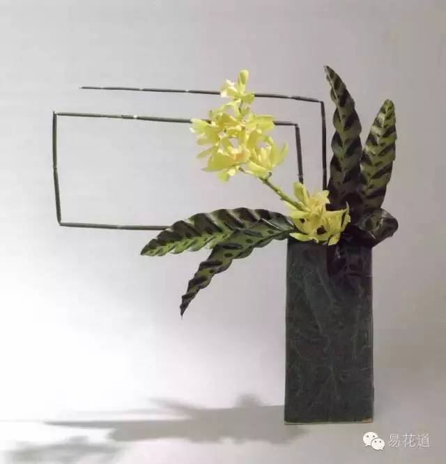 万宏 世界插花花艺的风格与系统(下)｜花课堂