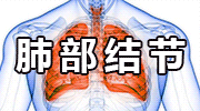 今日头条升级“优质创作者计划” 全面激励优质内容