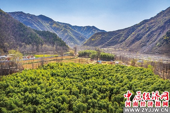 洛宁县：以文促旅以旅彰文 让好品牌讲好绿水青山故事