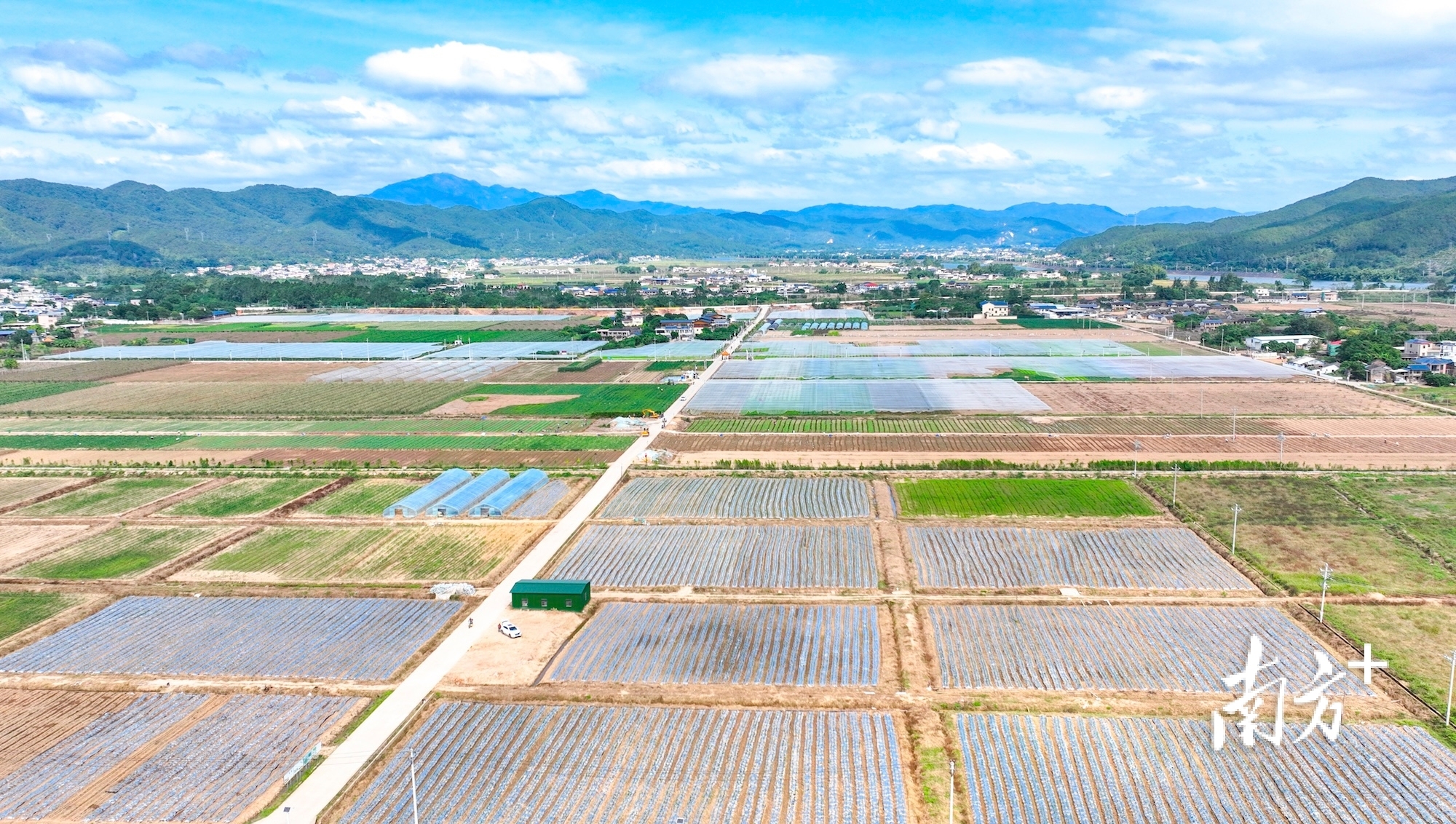 2025步伐坚定谋突围|蕉岭以更高水平更高质量打造“百千万工程”典型县