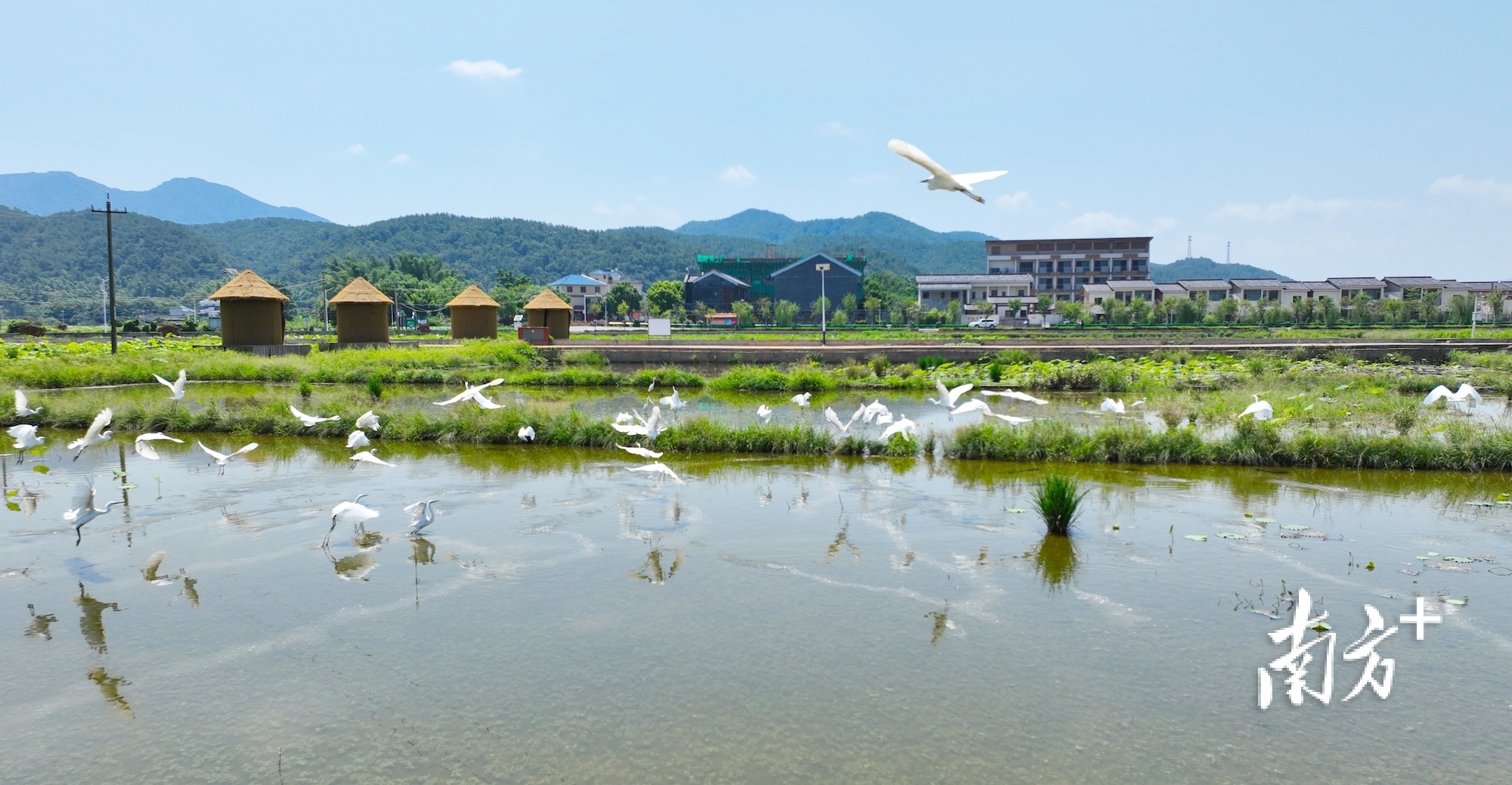 2025步伐坚定谋突围|蕉岭以更高水平更高质量打造“百千万工程”典型县