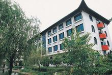 龙港镇鲸头村