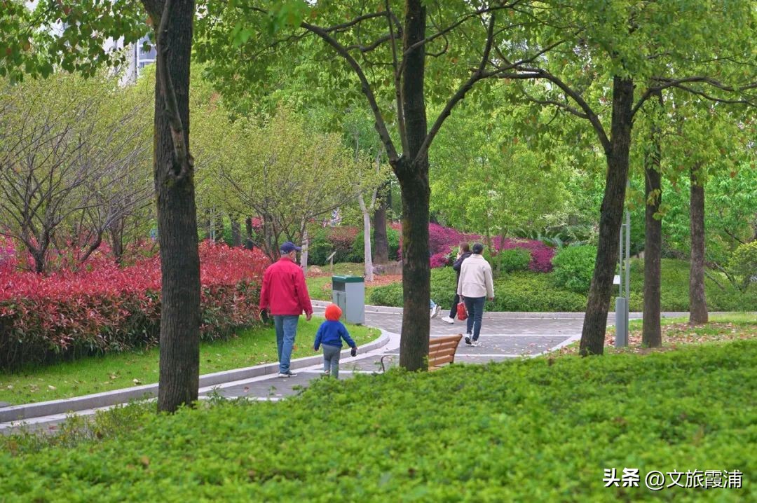 最美人间四月天，这份霞浦城郊赏春健身攻略请收下