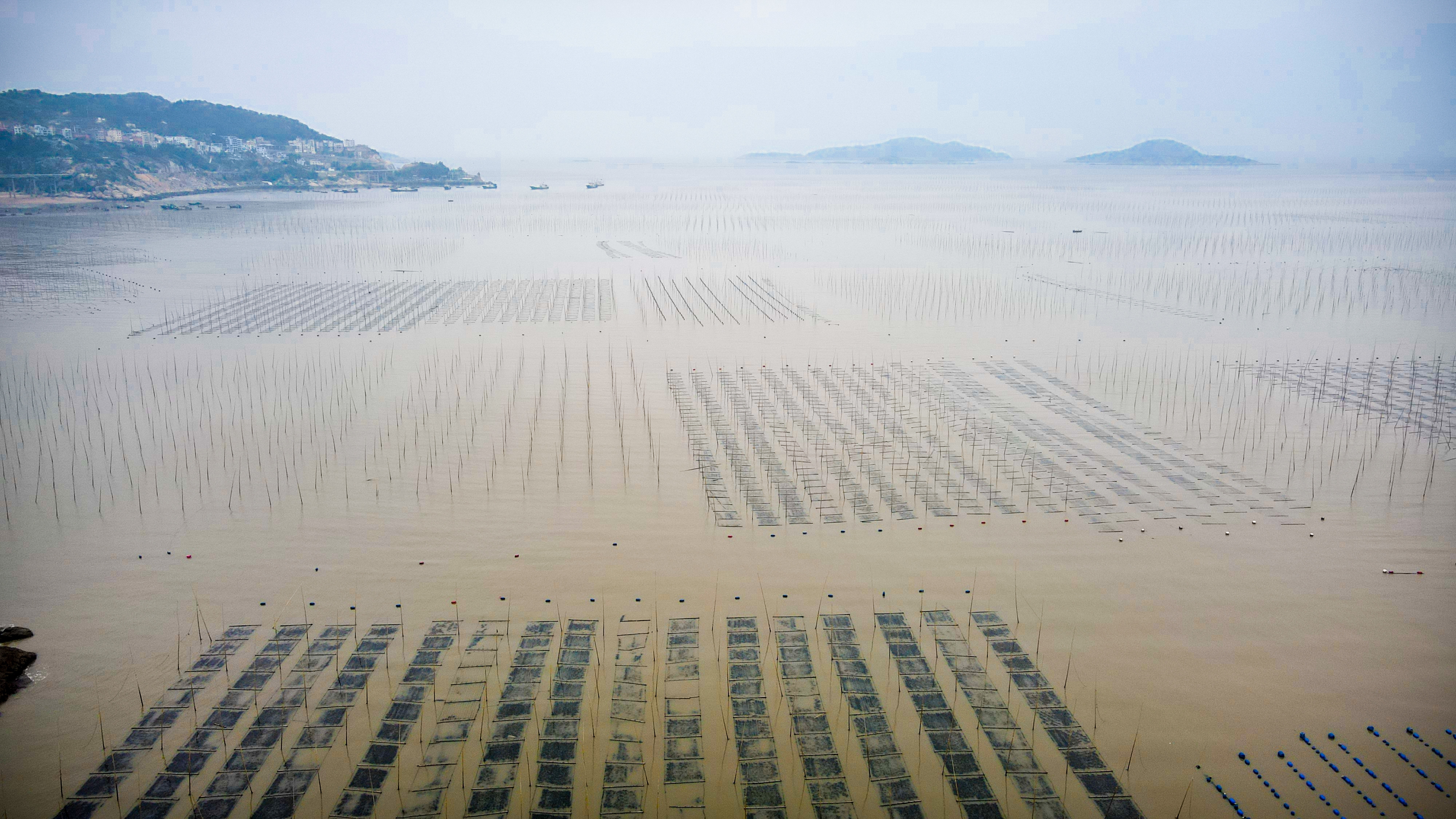 霞浦小众网红景点，三沙光影栈道，赏海上渔晖绝佳地